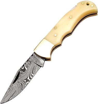 Fhkbne Couteau Fh Knives Damas Bone Pliant Lame Couches Etui