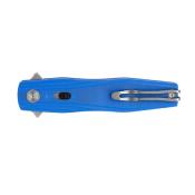 RKEP188E Couteau Ruike P188-E Blue Lame Acier D2 Spear Point IKBS - Livraison Gratuite